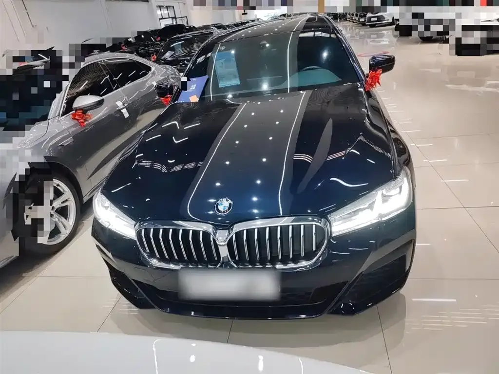 BMW 5 Series 2023 из CN, фото 6