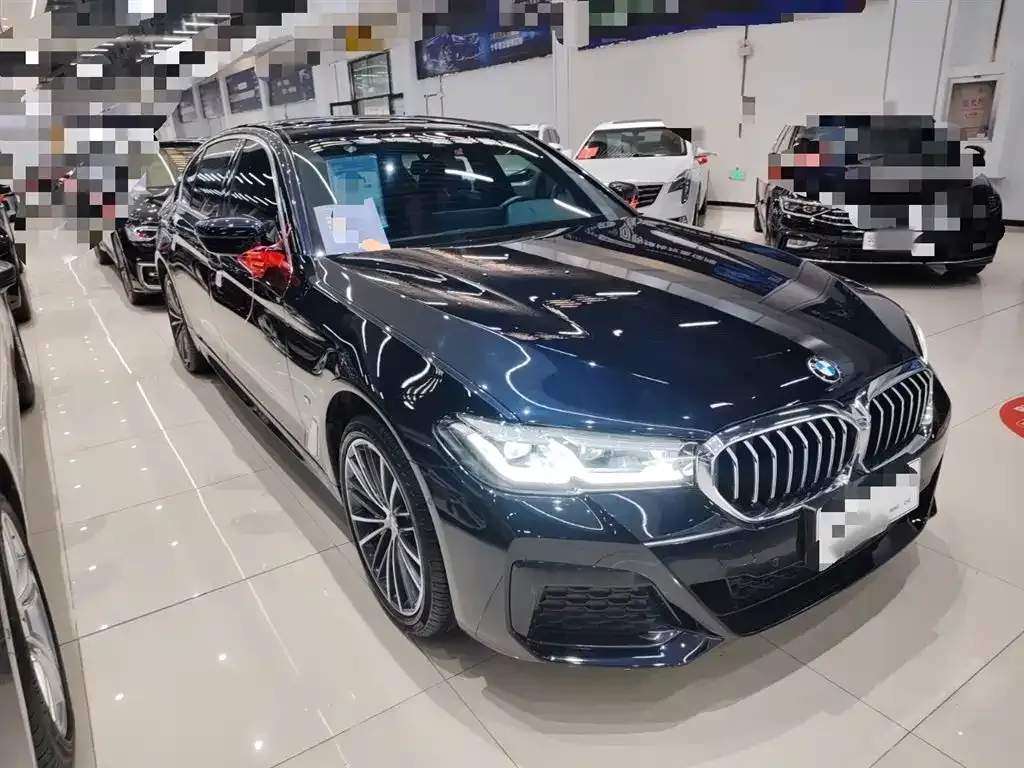 BMW 5 Series 2023 из CN, фото 7