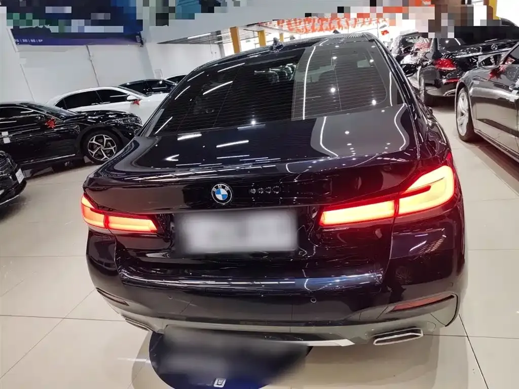 BMW 5 Series 2023 из CN, фото 9