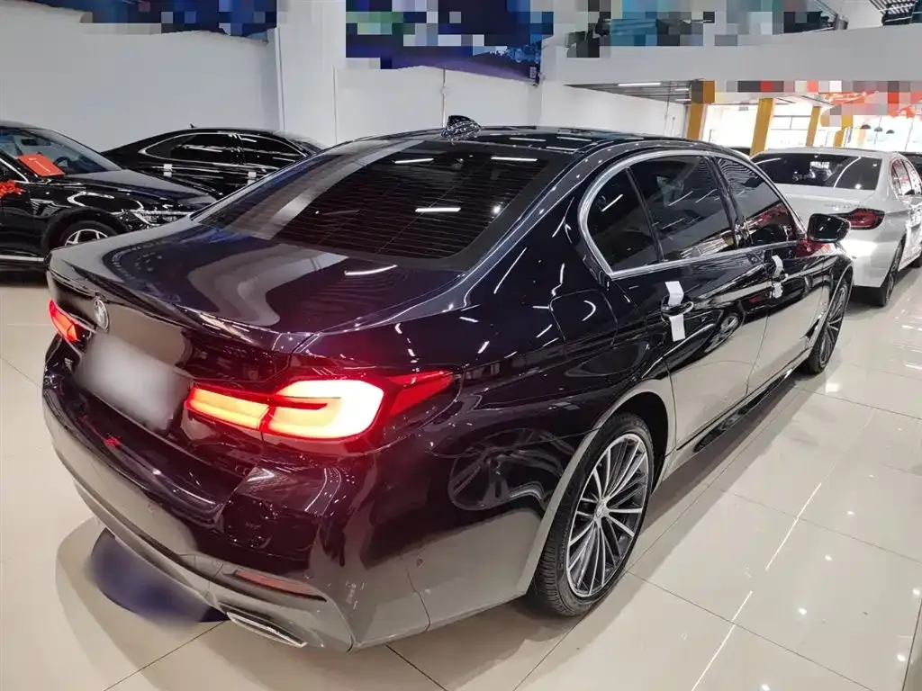 BMW 5 Series 2023 из CN, фото 10