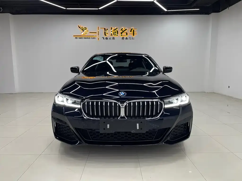 BMW 5 Series New Energy — фото 4