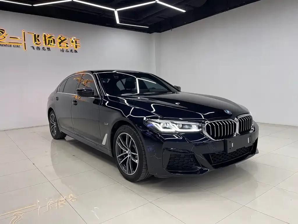 BMW 5 Series New Energy — фото 3