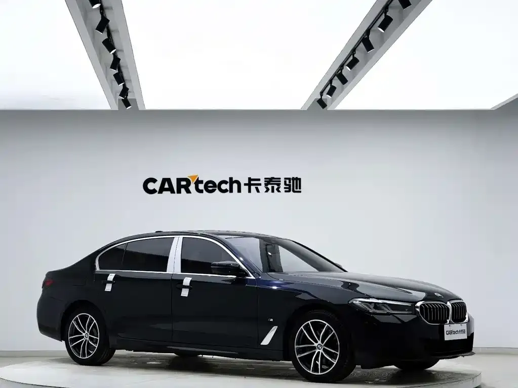 BMW 5 Series 2021 из CN, фото 9