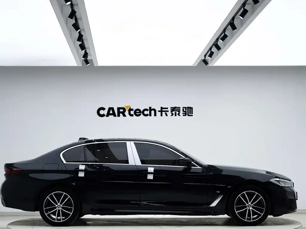 BMW 5 Series 2021 из CN, фото 4