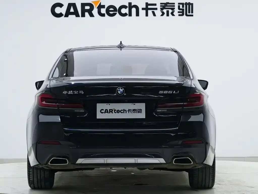 BMW 5 Series 2021 из CN, фото 6