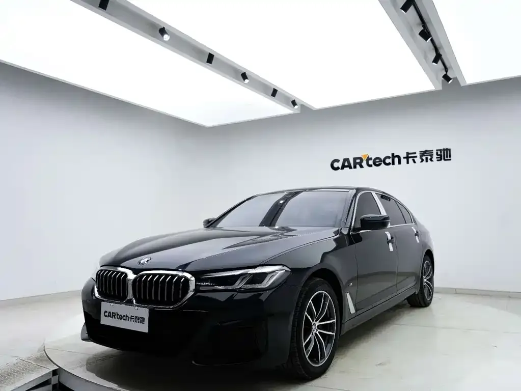 BMW 5 Series 2021 из CN, фото 7