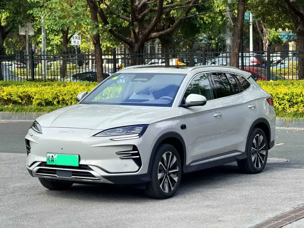 BYD PLUS New Energy 2025 из CN, фото 1