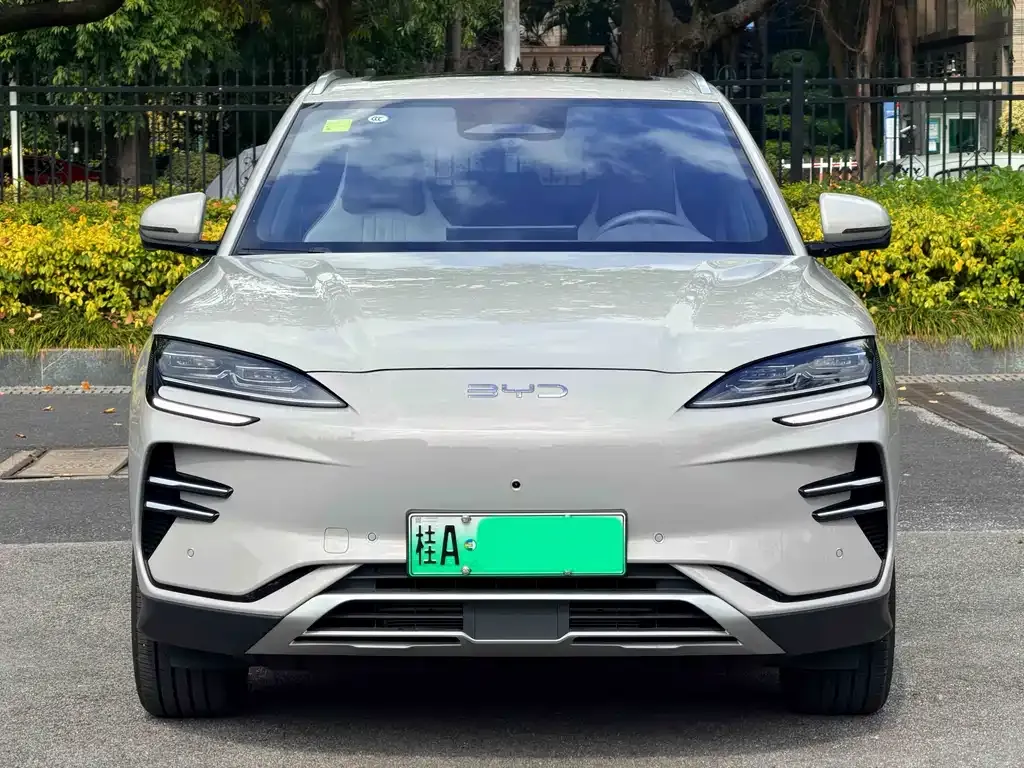 BYD PLUS New Energy 2025 из CN, фото 2