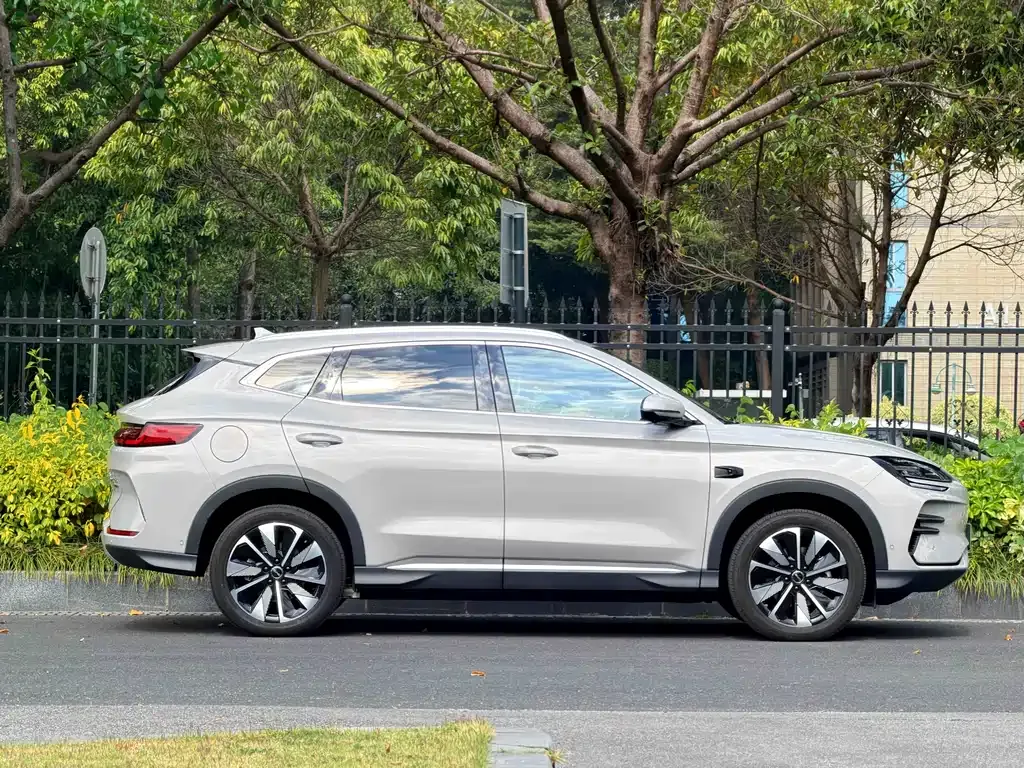 BYD PLUS New Energy 2025 из CN, фото 10