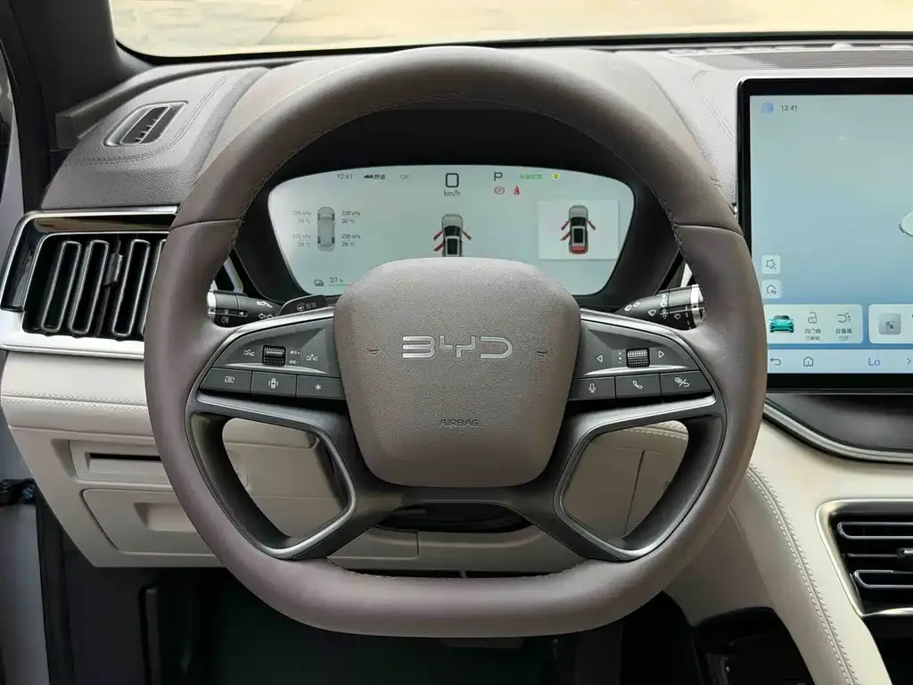 BYD PLUS New Energy 2025 из CN, фото 8