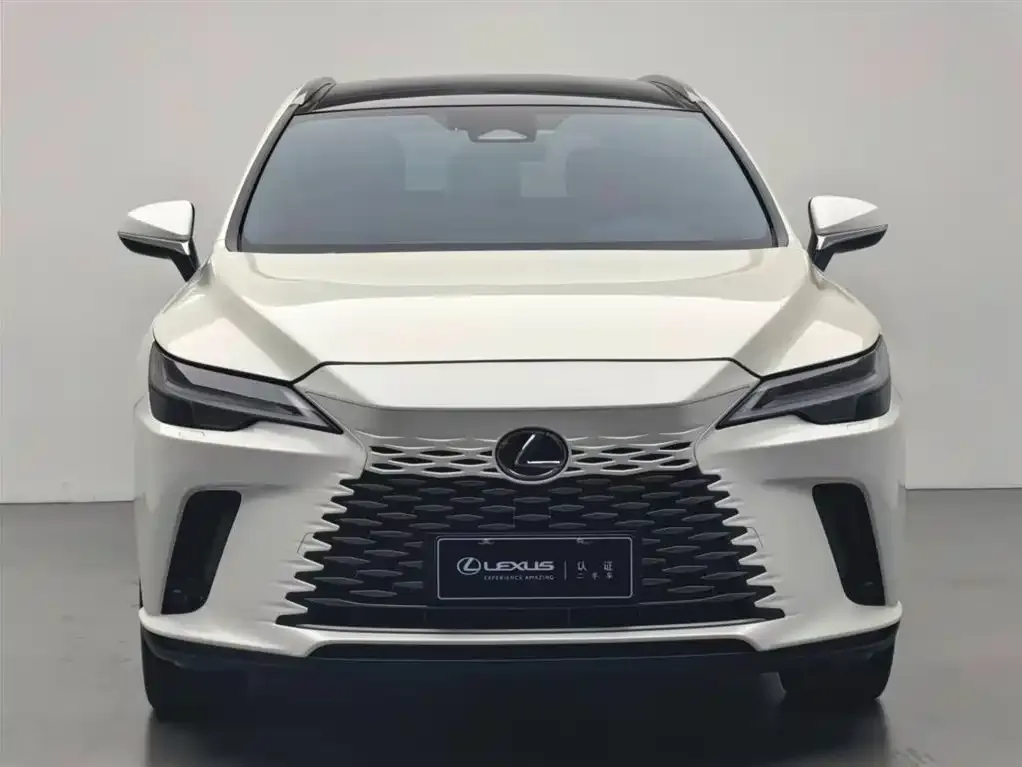 Lexus RX 2024 из CN, фото 4