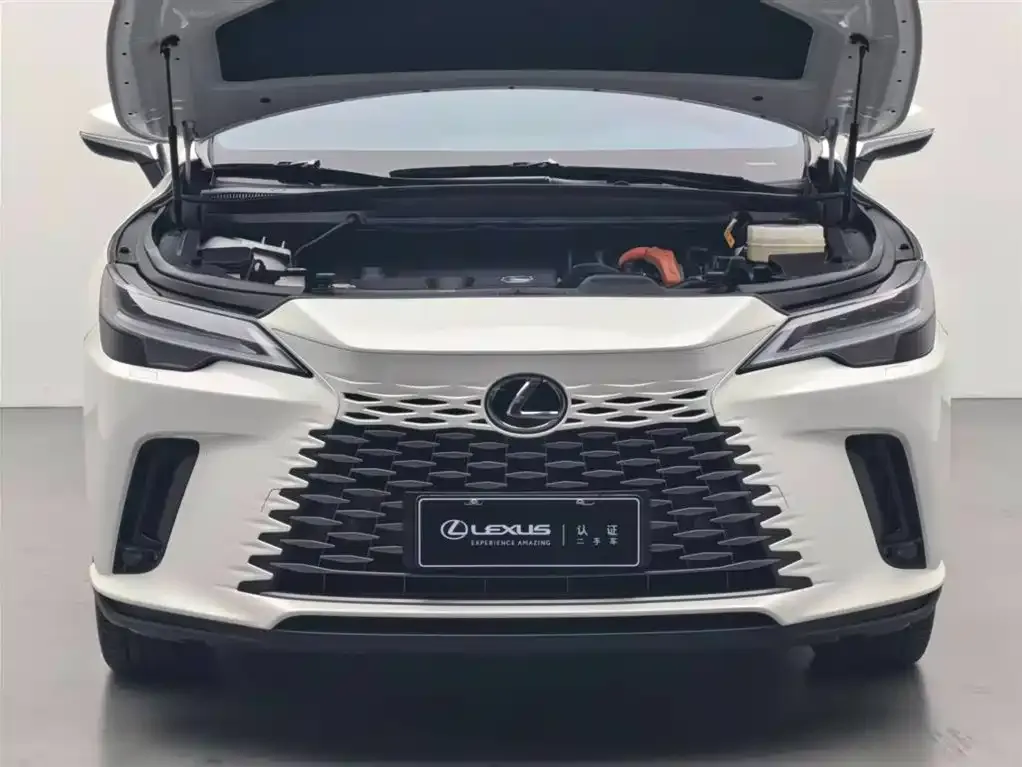 Lexus RX 2024 из CN, фото 5
