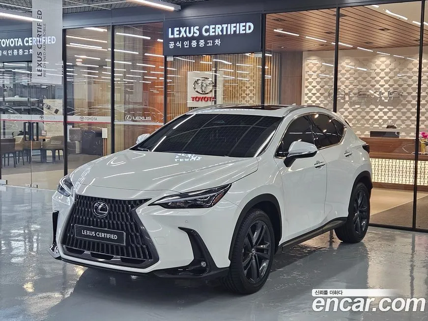 Lexus NX 2025 из KR, фото 1