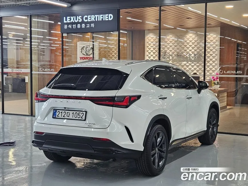 Lexus NX 2025 из KR, фото 2
