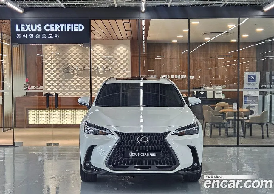 Lexus NX 2025 из KR, фото 5