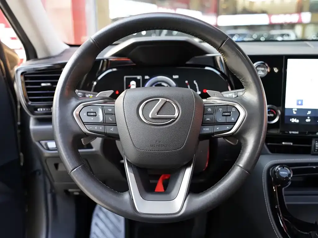 Lexus NX 2023 из CN, фото 6