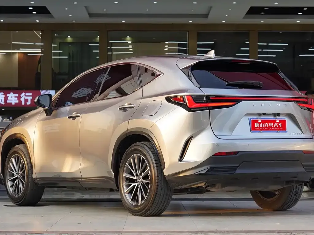 Lexus NX 2023 из CN, фото 10