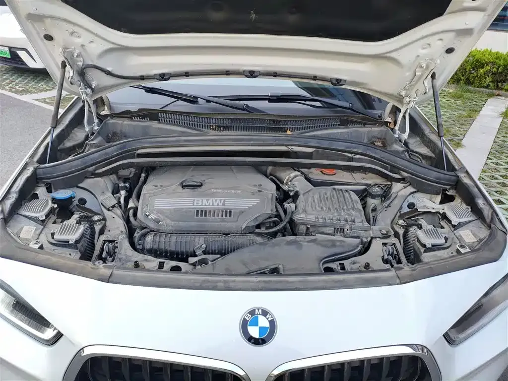 BMW X2 2022 из CN, фото 10