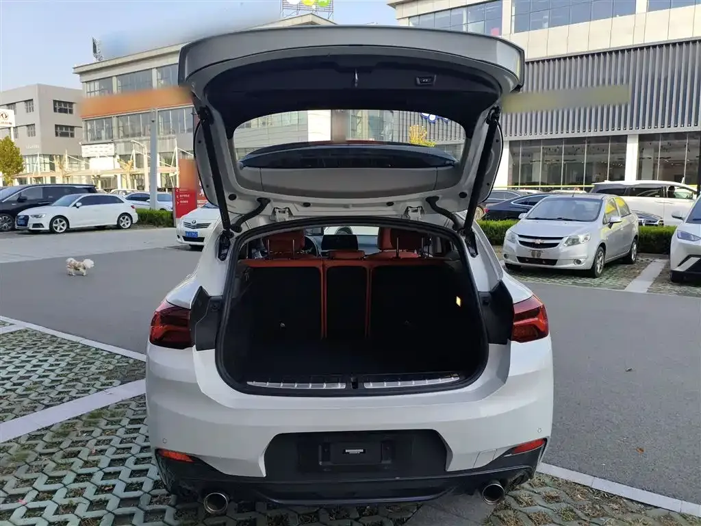 BMW X2 2022 из CN, фото 9