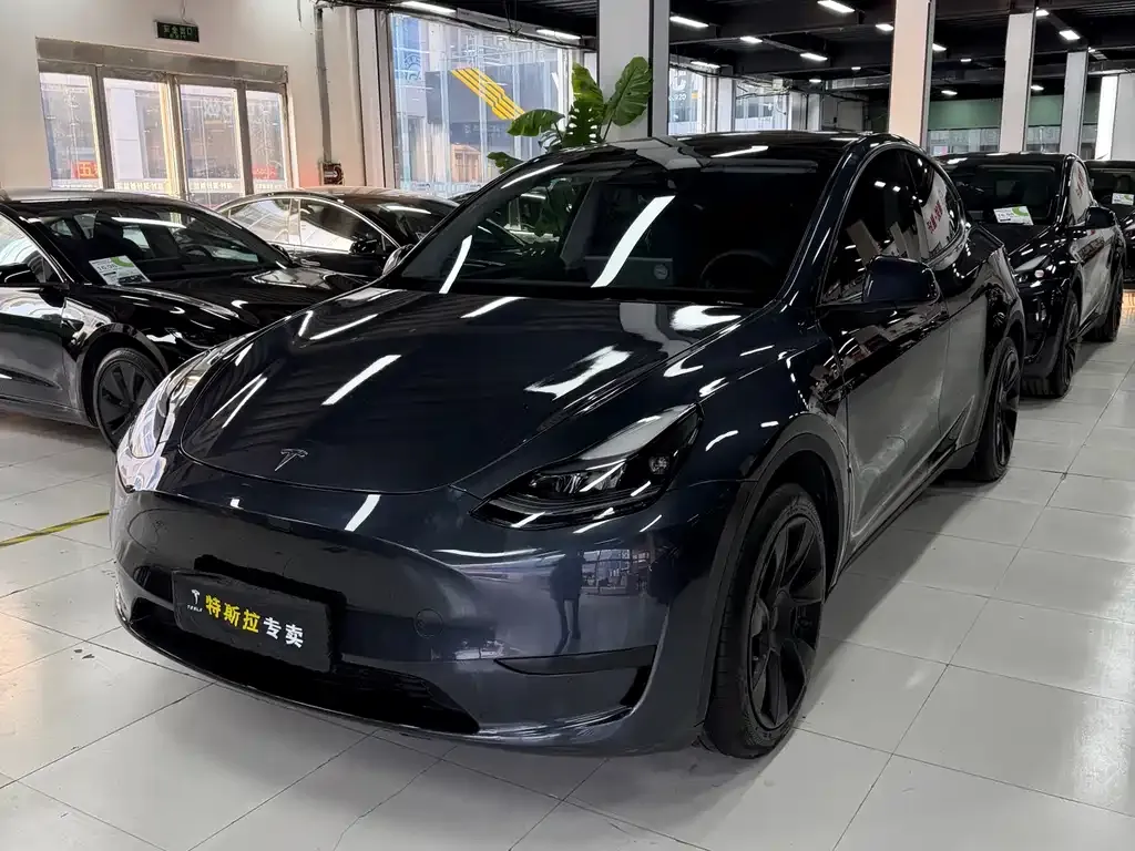 Tesla Model Y — фото 1