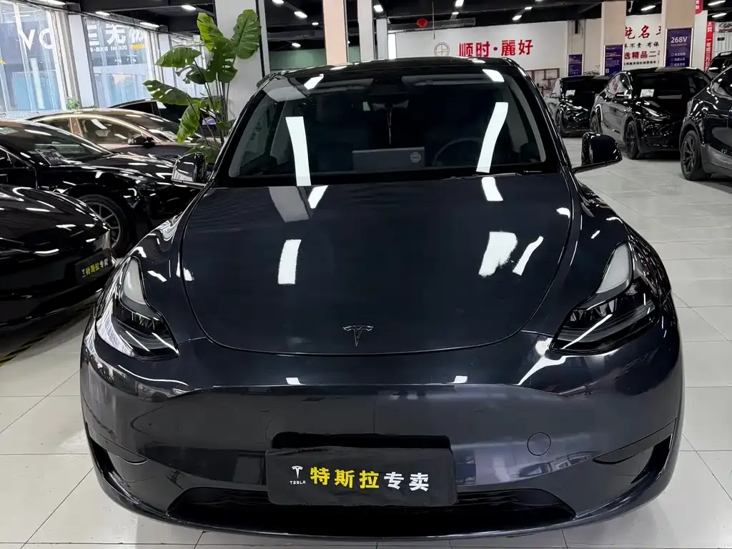 Tesla Model Y — фото 8