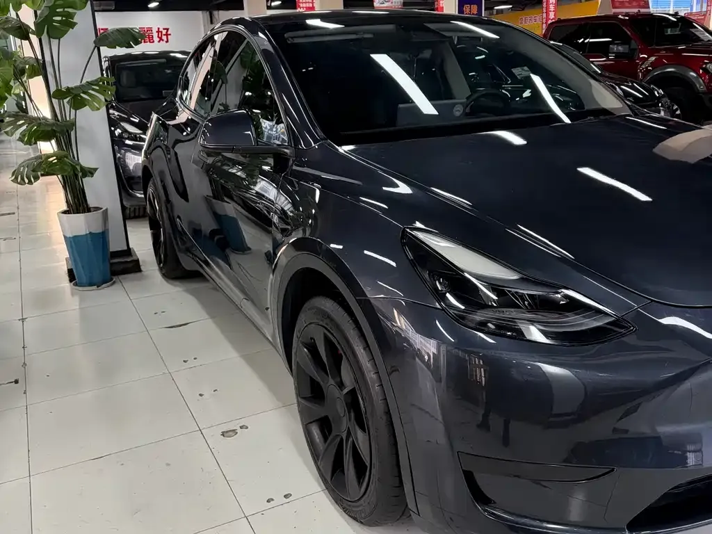 Tesla Model Y — фото 9