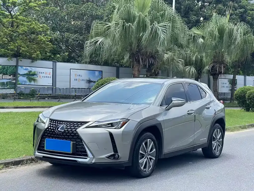 Lexus UX New Energy 2022 из CN, фото 1