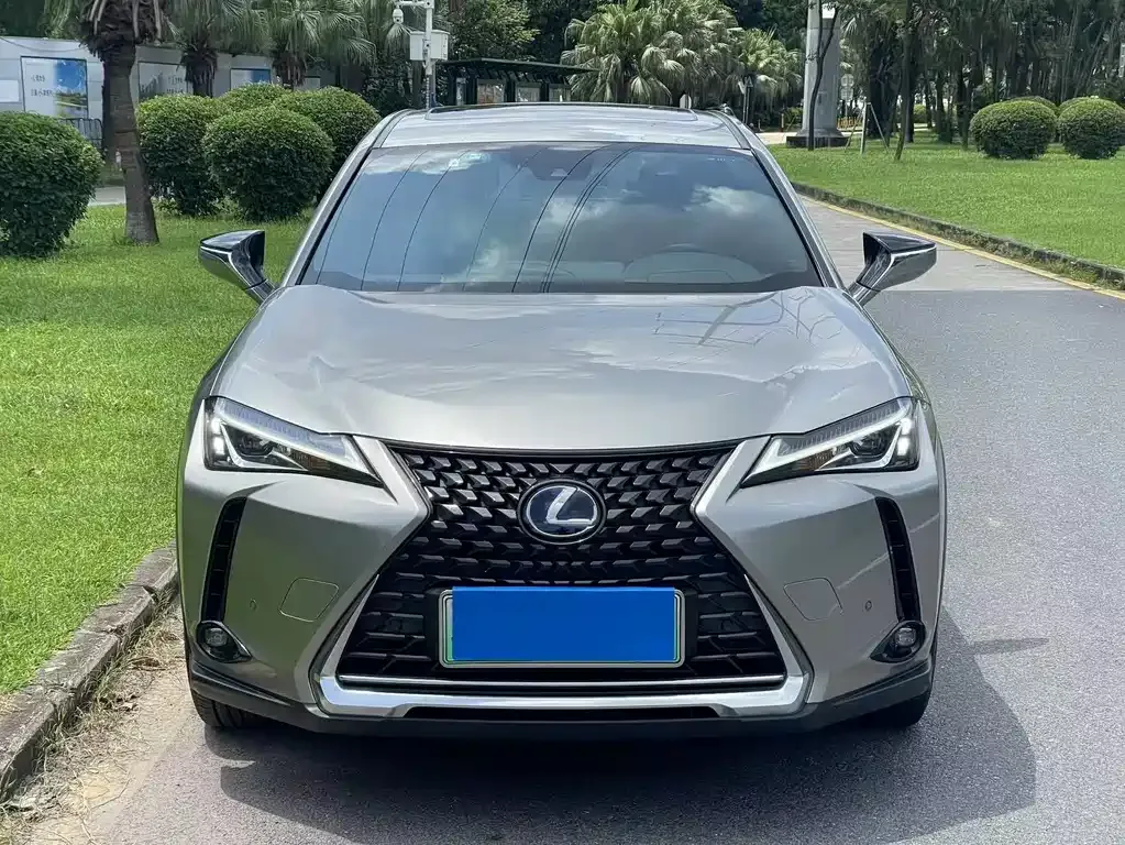 Lexus UX New Energy 2022 из CN, фото 6