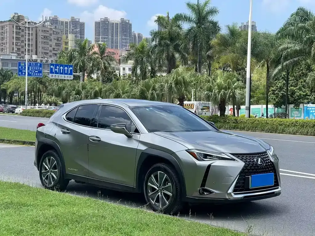 Lexus UX New Energy 2022 из CN, фото 4