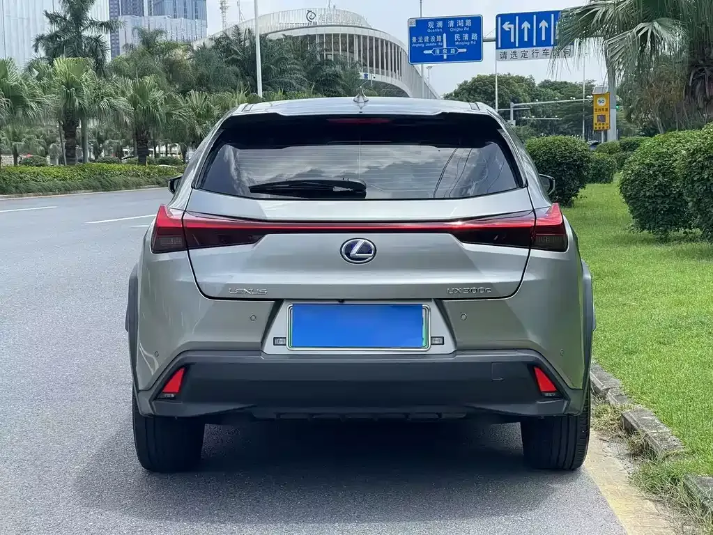 Lexus UX New Energy 2022 из CN, фото 2