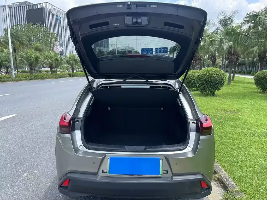 Lexus UX New Energy 2022 из CN, фото 3