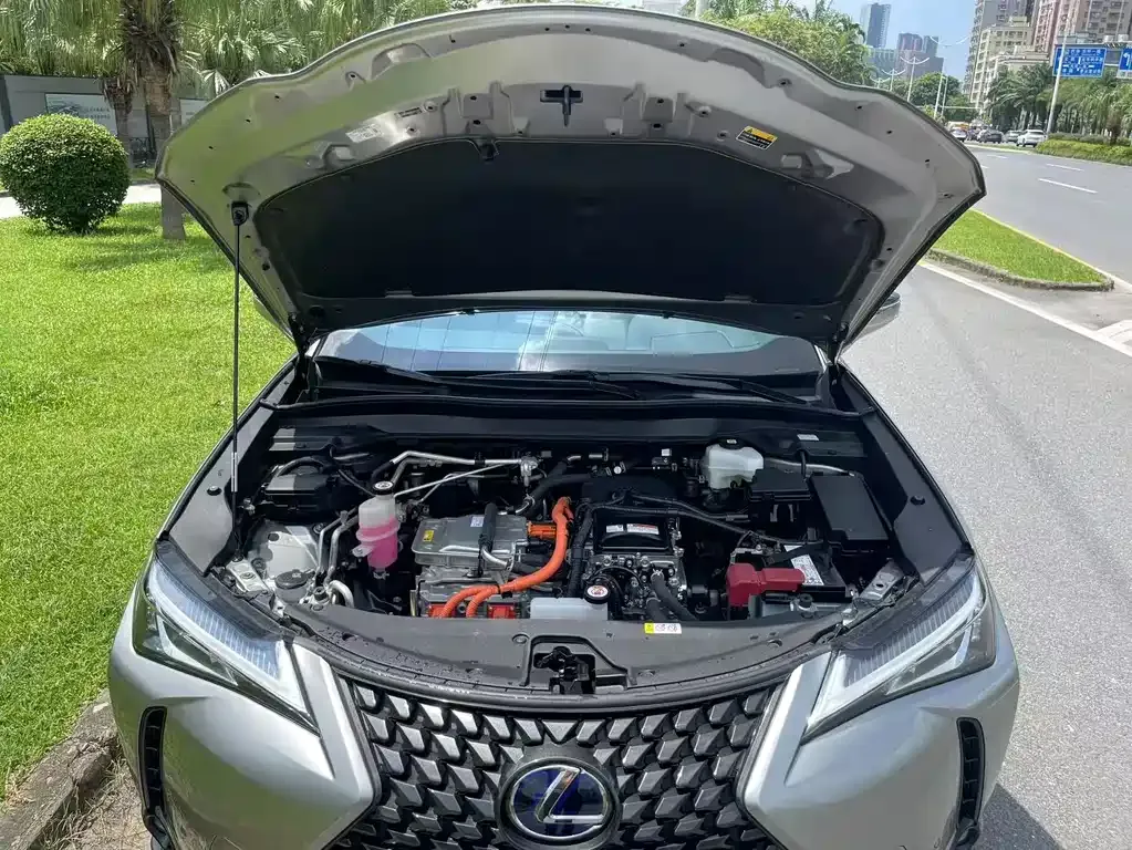 Lexus UX New Energy 2022 из CN, фото 10