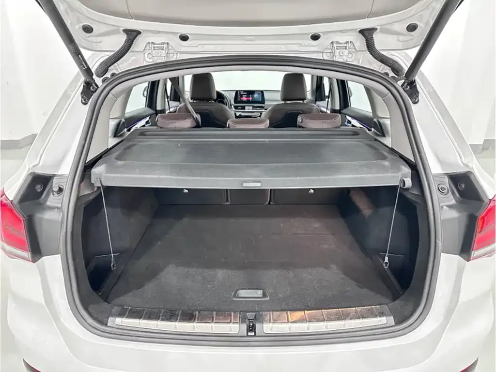 BMW X1 2021 из CN, фото 6