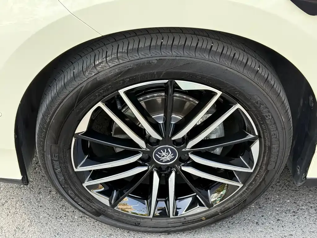 BYD Qin L 2025 из CN, фото 4