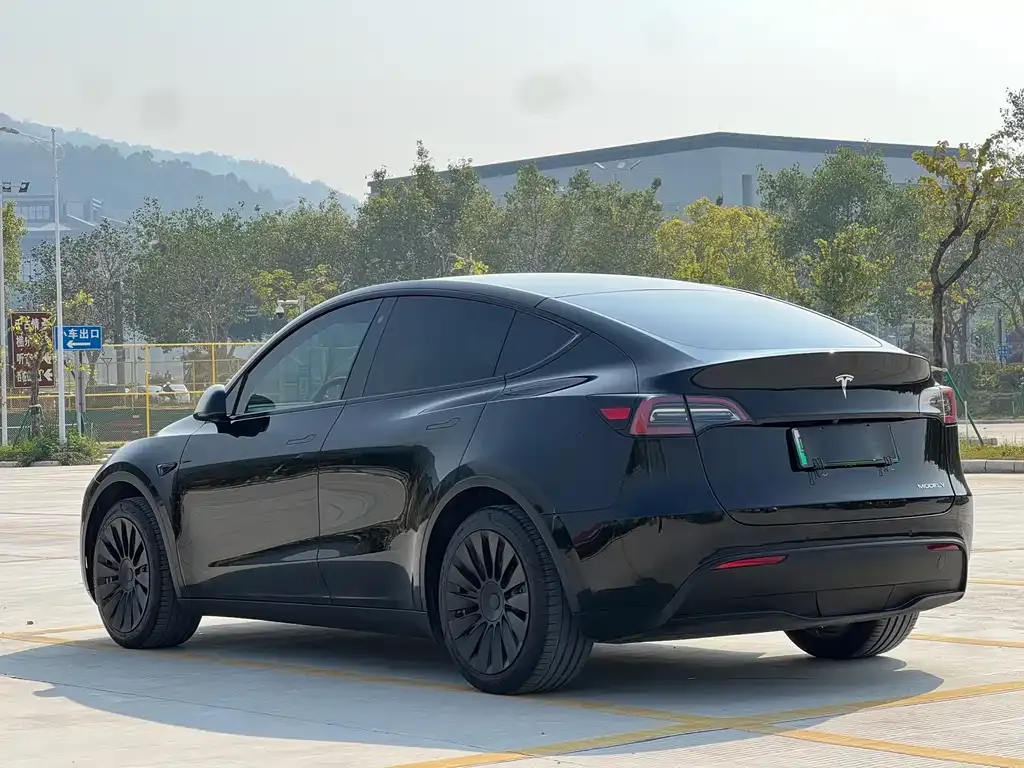 Tesla Model Y — фото 5