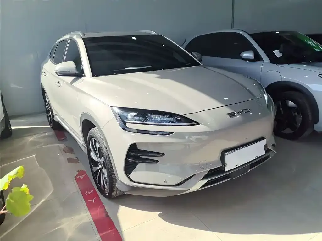 BYD PLUS New Energy 2024 из CN, фото 4