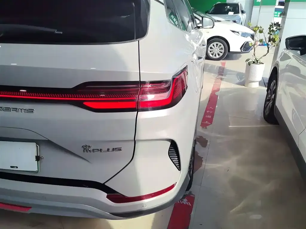 BYD PLUS New Energy 2024 из CN, фото 8