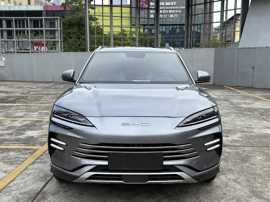 BYD PLUS New Energy 2024 из CN, фото 2