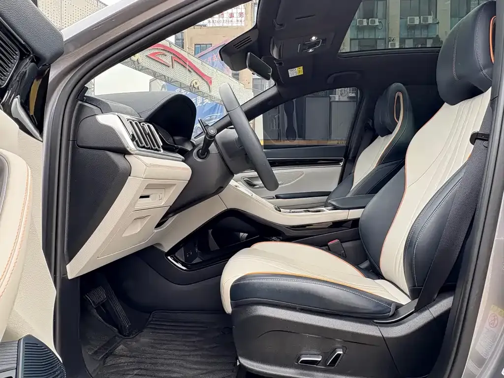 BYD PLUS New Energy 2024 из CN, фото 4
