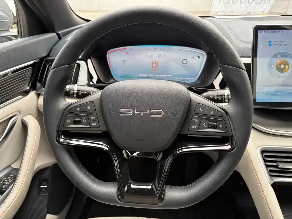 BYD PLUS New Energy 2024 из CN, фото 6