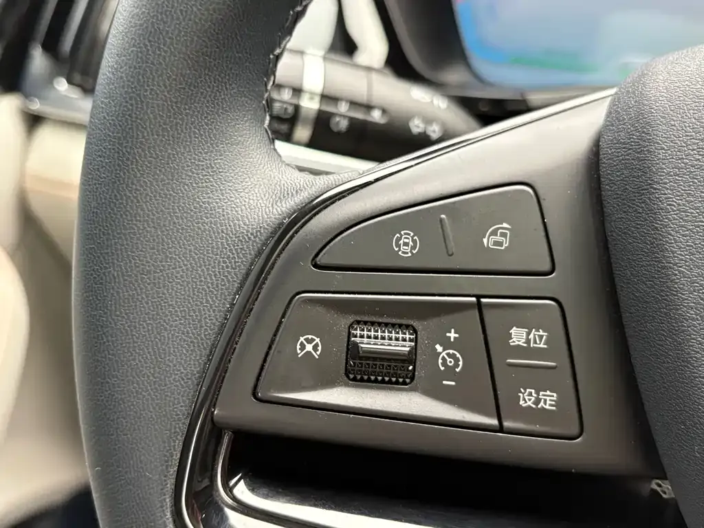 BYD PLUS New Energy 2024 из CN, фото 8