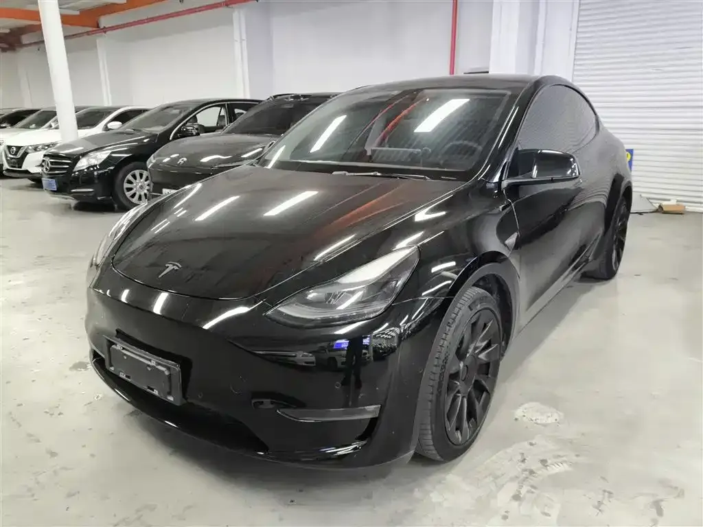 Tesla Model Y 2021 из CN, фото 1