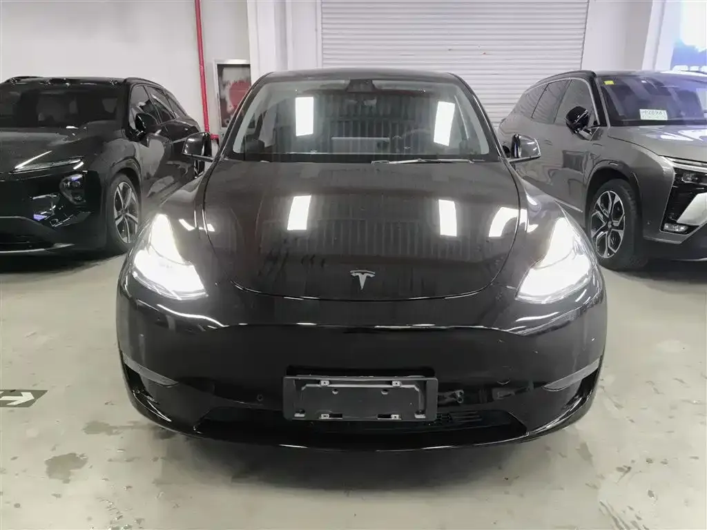 Tesla Model Y 2021 из CN, фото 2