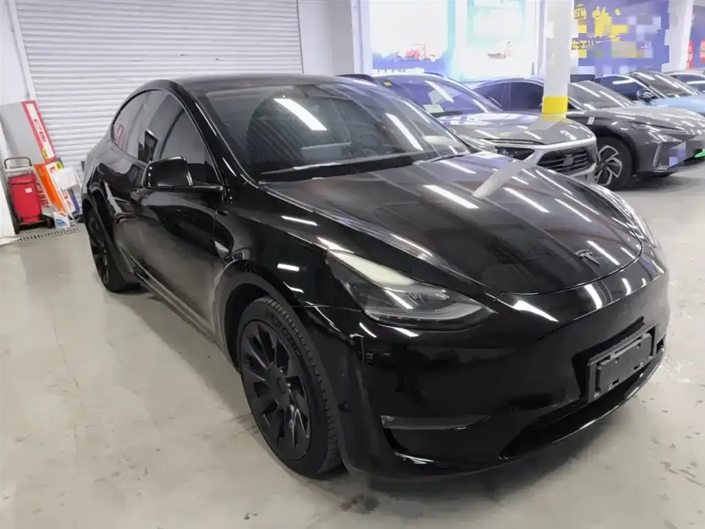 Tesla Model Y 2021 из CN, фото 4