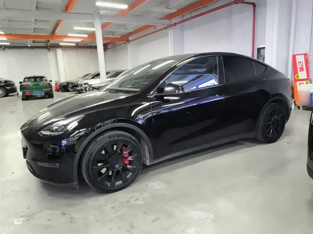 Tesla Model Y 2021 из CN, фото 7