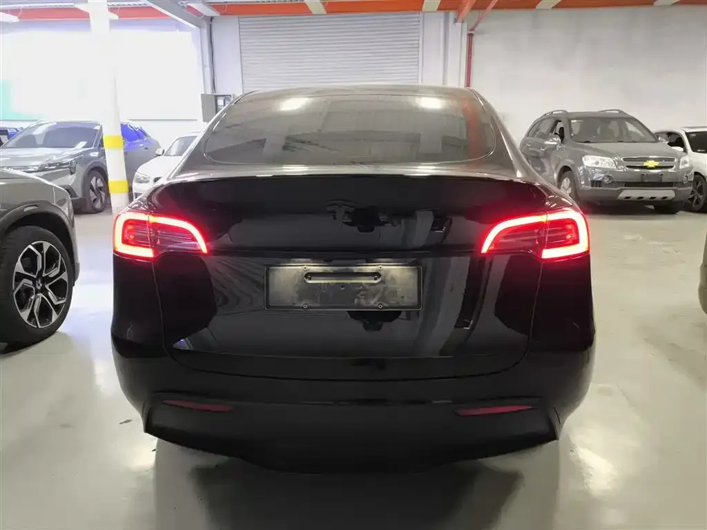 Tesla Model Y 2021 из CN, фото 6