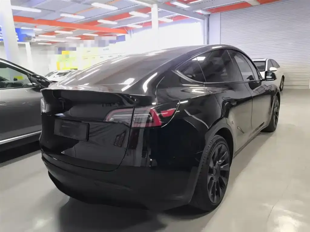 Tesla Model Y 2021 из CN, фото 9