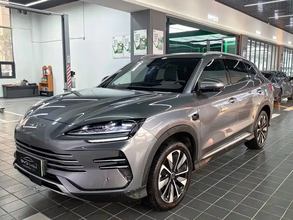 BYD PLUS New Energy — фото 1