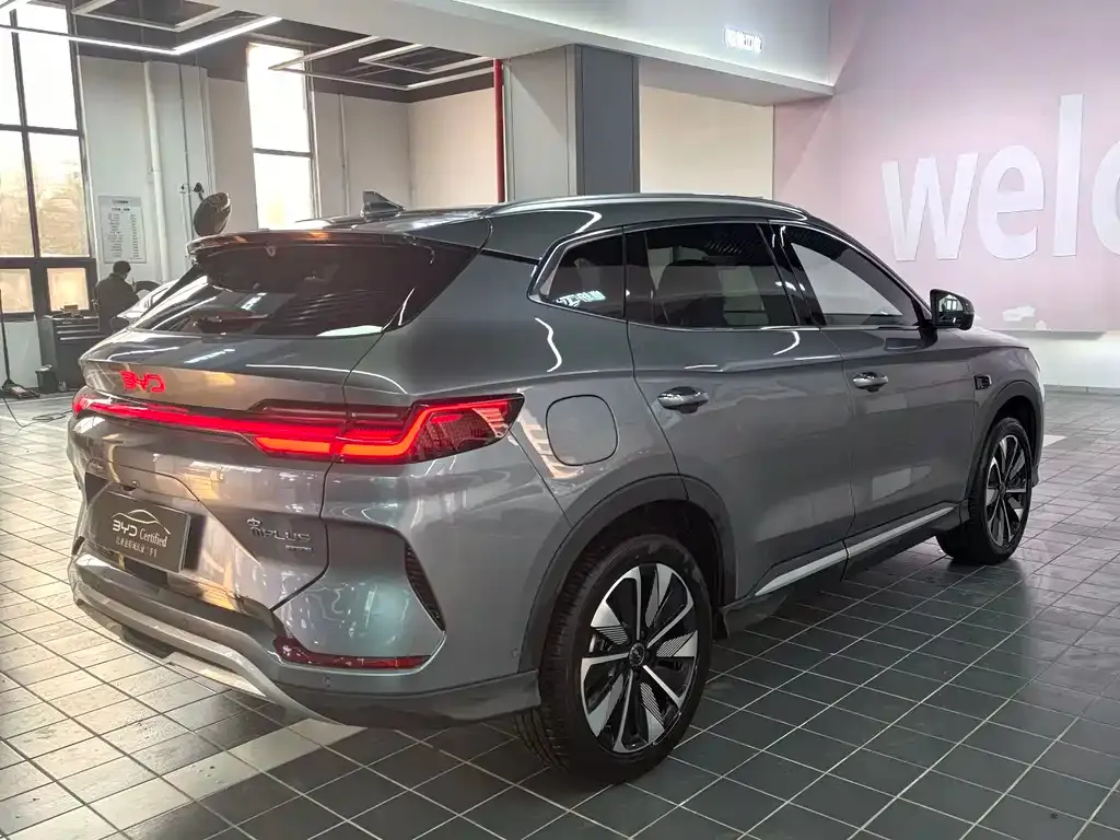 BYD PLUS New Energy — фото 10