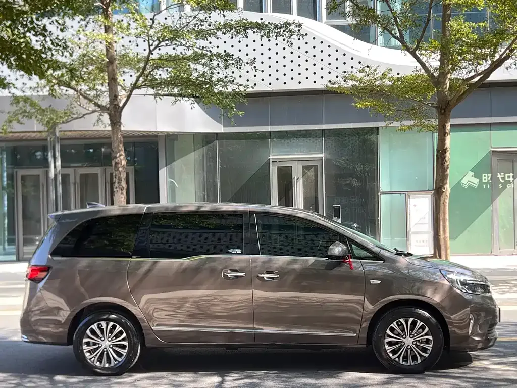 Buick GL8 2022 из CN, фото 4